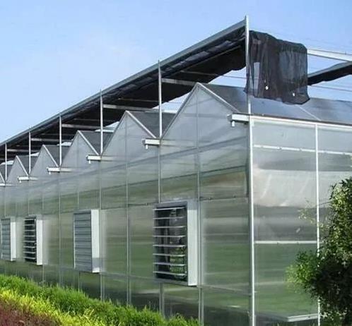 四川花卉大棚温室栽培如何管理？大棚养殖花卉的好处