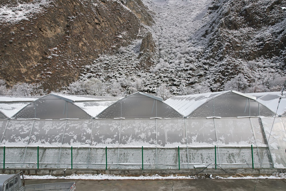 冬季，蔬菜大棚连续遇到雨雪天气该怎么办？